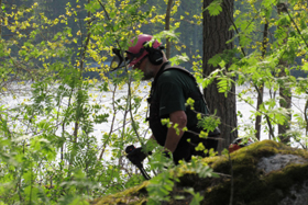 Tuulensuun mets&aumlnraivaus toukokuussa 2016